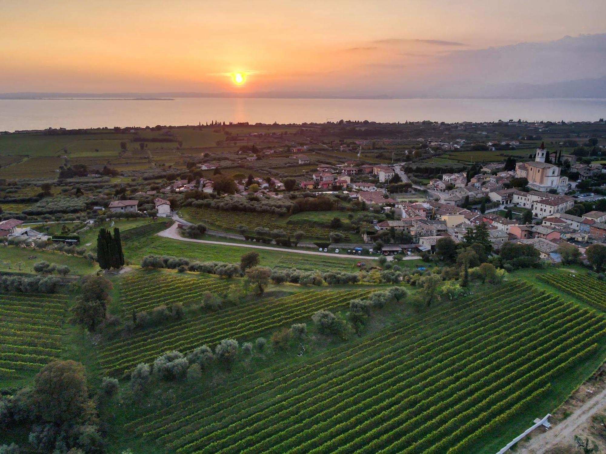 Villa Calicantus Bardolino Bagian luar foto